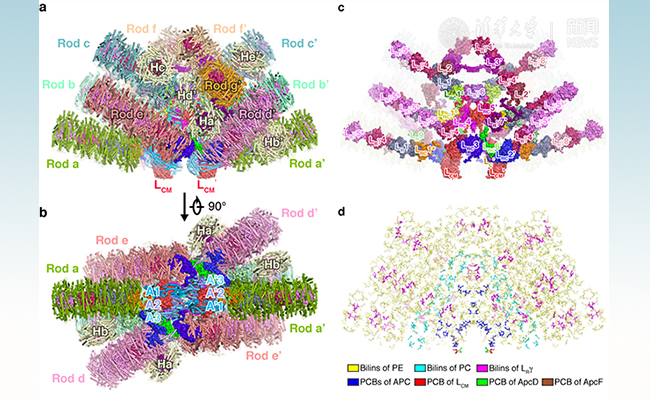 2025新澳门开门原料免费