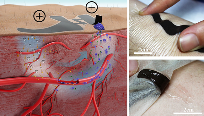 2025新澳门开门原料免费