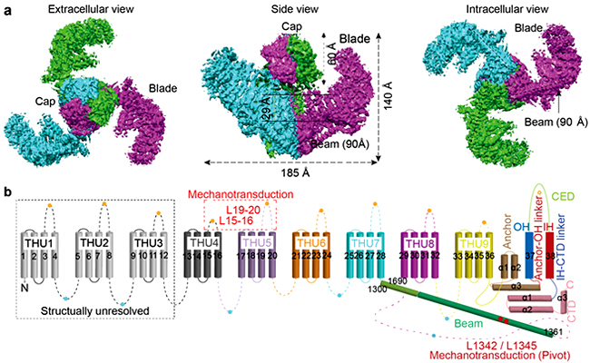 2025新澳门开门原料免费