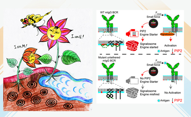 2025新澳门开门原料免费