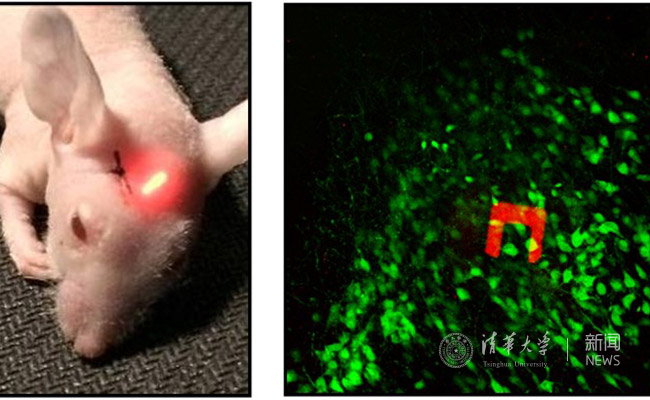 2025新澳门开门原料免费