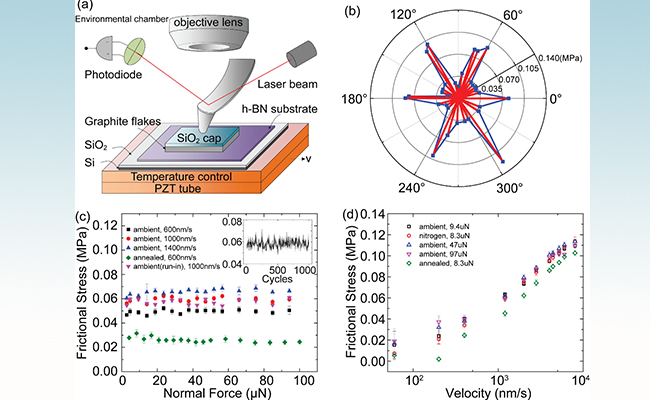 2025新澳门开门原料免费