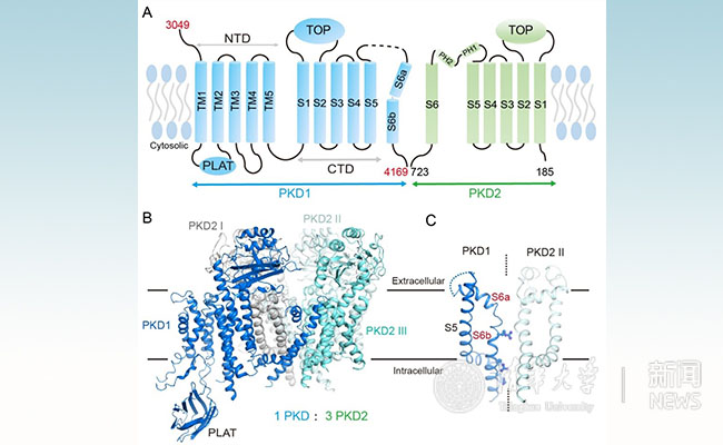2025新澳门开门原料免费
