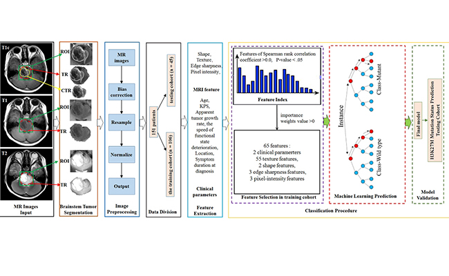 2025新澳门开门原料免费