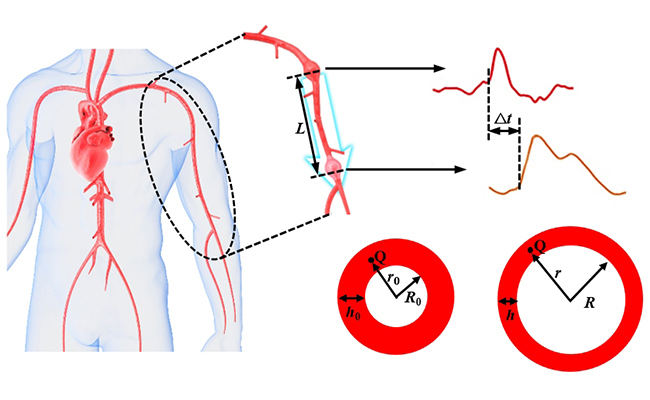 2025新澳门开门原料免费
