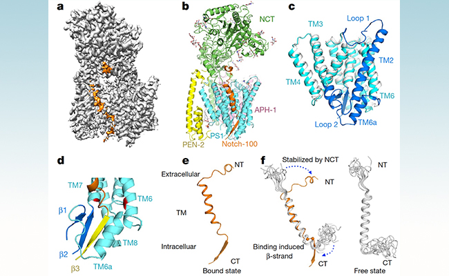 2025新澳门开门原料免费