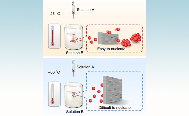 2025新澳门开门原料免费