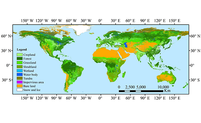 2025新澳门开门原料免费