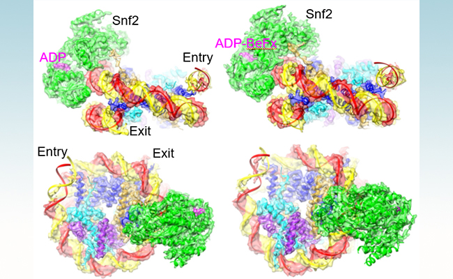 2025新澳门开门原料免费