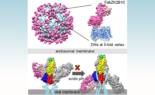2025新澳门开门原料免费
