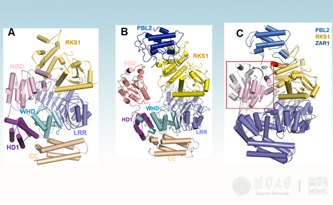 2025新澳门开门原料免费