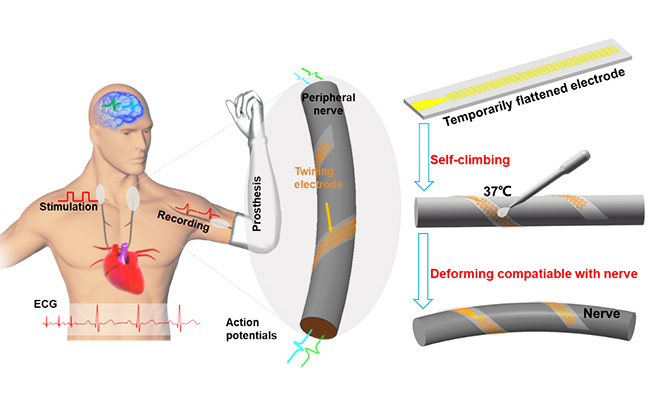 2025新澳门开门原料免费