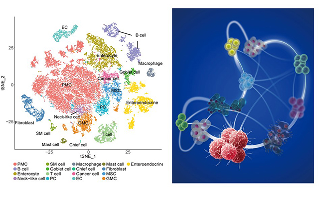 2025新澳门开门原料免费
