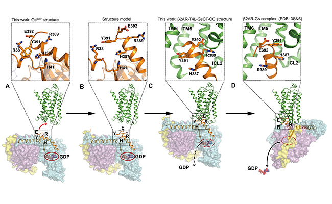 2025新澳门开门原料免费
