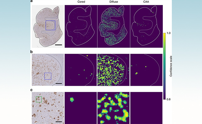 2025新澳门开门原料免费