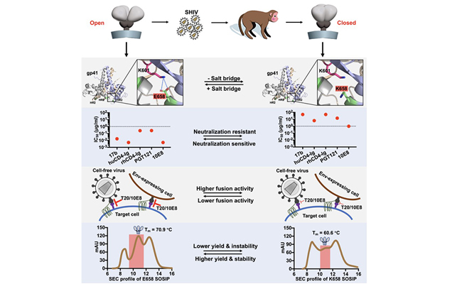 2025新澳门开门原料免费