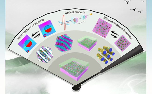 2025新澳门开门原料免费