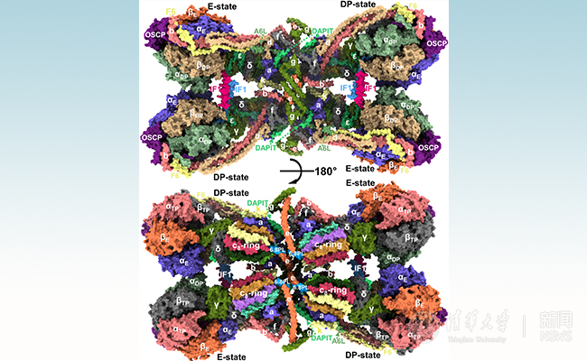 2025新澳门开门原料免费