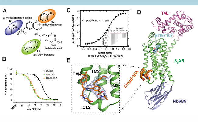 2025新澳门开门原料免费