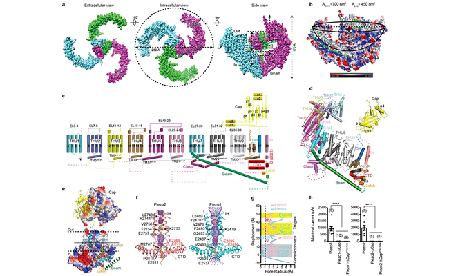 2025新澳门开门原料免费