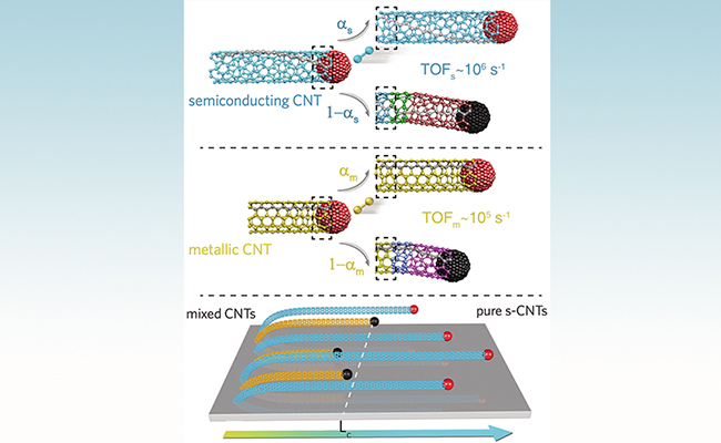 2025新澳门开门原料免费