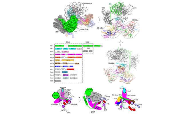 2025新澳门开门原料免费