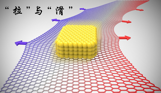 2025新澳门开门原料免费