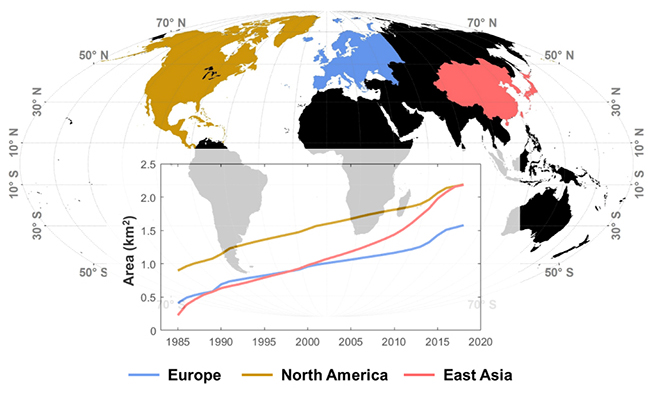 2025新澳门开门原料免费
