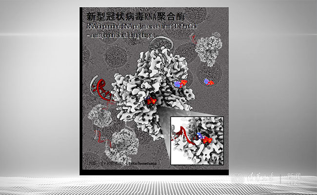 2025新澳门开门原料免费