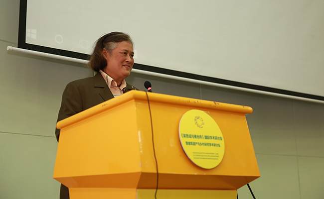 2025新澳门开门原料免费