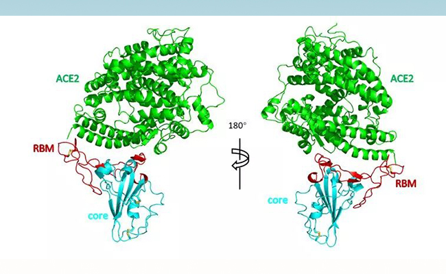 2025新澳门开门原料免费