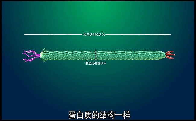 2025新澳门开门原料免费
