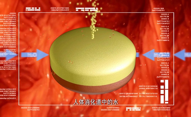 2025新澳门开门原料免费
