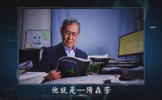 2025新澳门开门原料免费