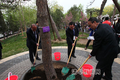 2025新澳门开门原料免费