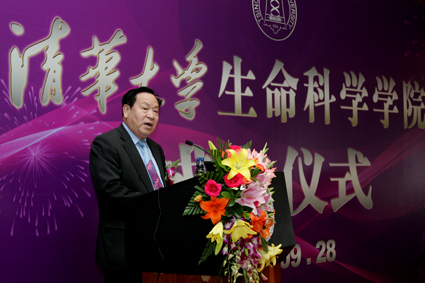 2025新澳门开门原料免费