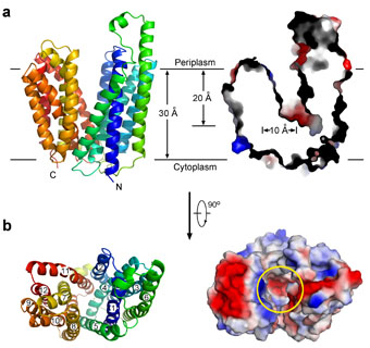 2025新澳门开门原料免费