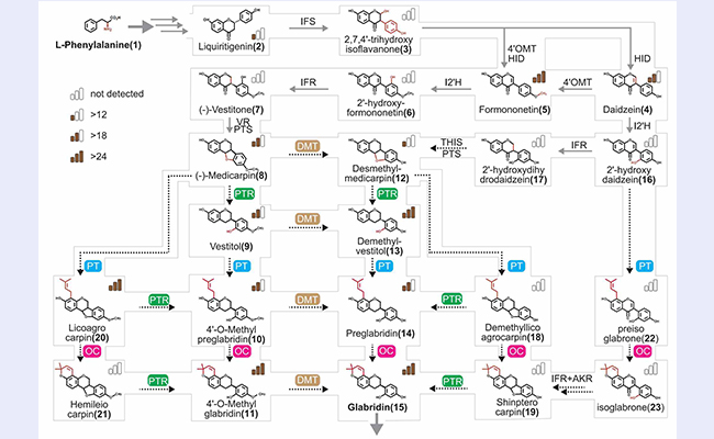 2025新澳门开门原料免费