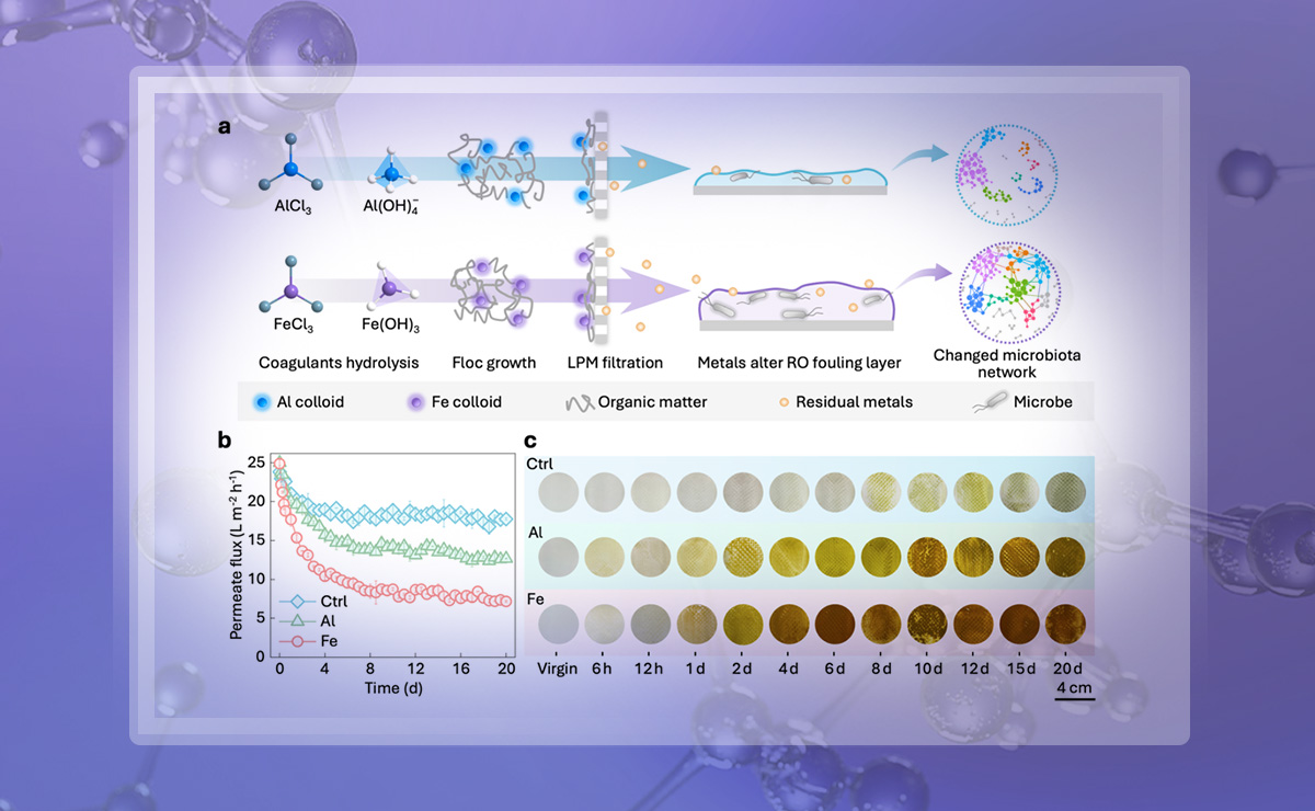 2025新澳门开门原料免费