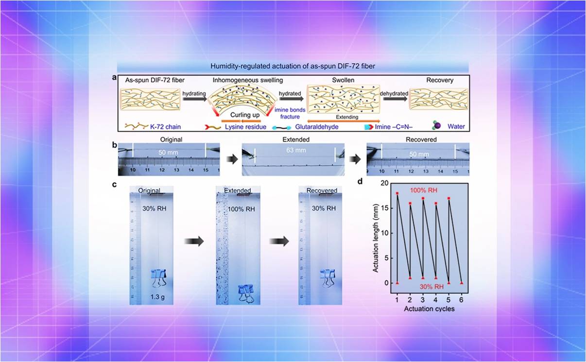 2025新澳门开门原料免费
