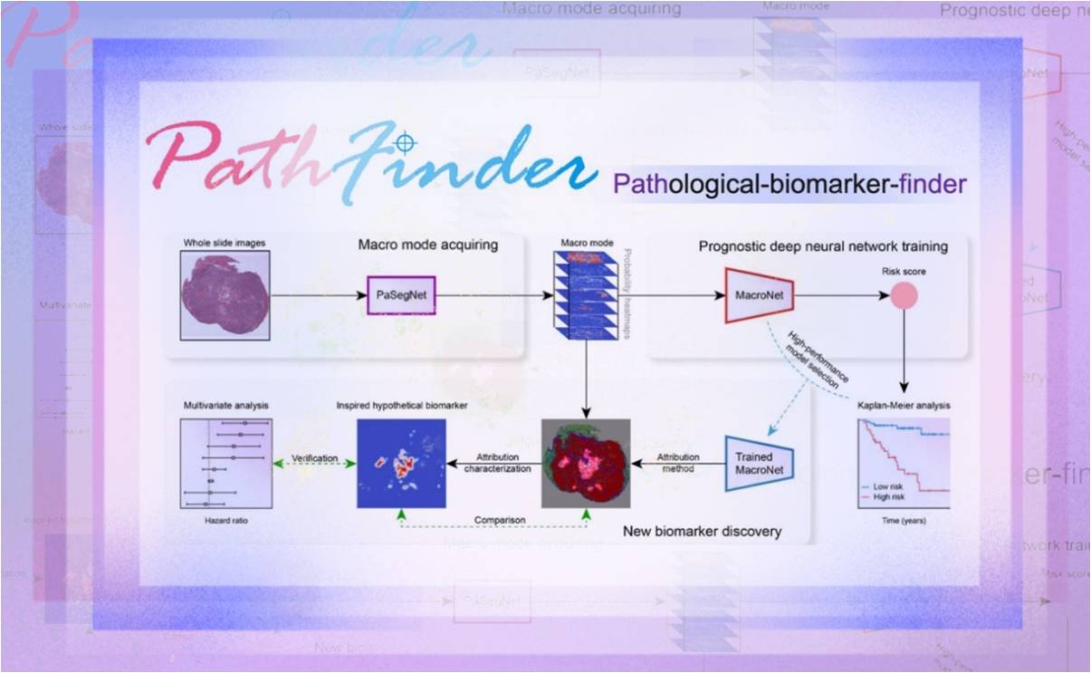 2025新澳门开门原料免费
