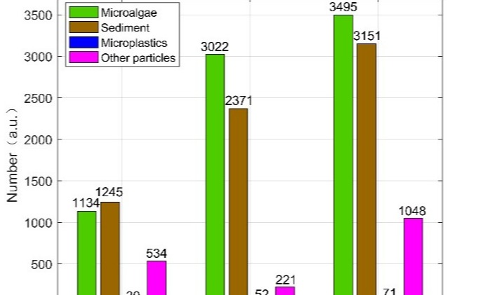 2025新澳门开门原料免费