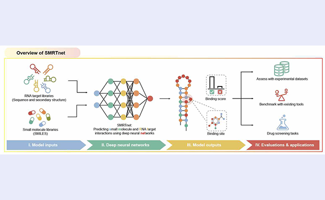2025新澳门开门原料免费