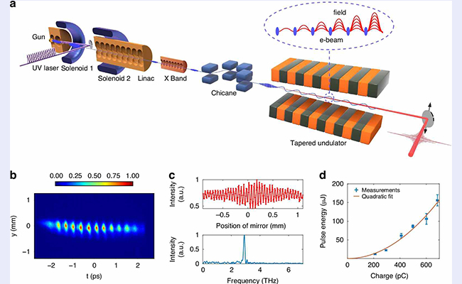 2025新澳门开门原料免费
