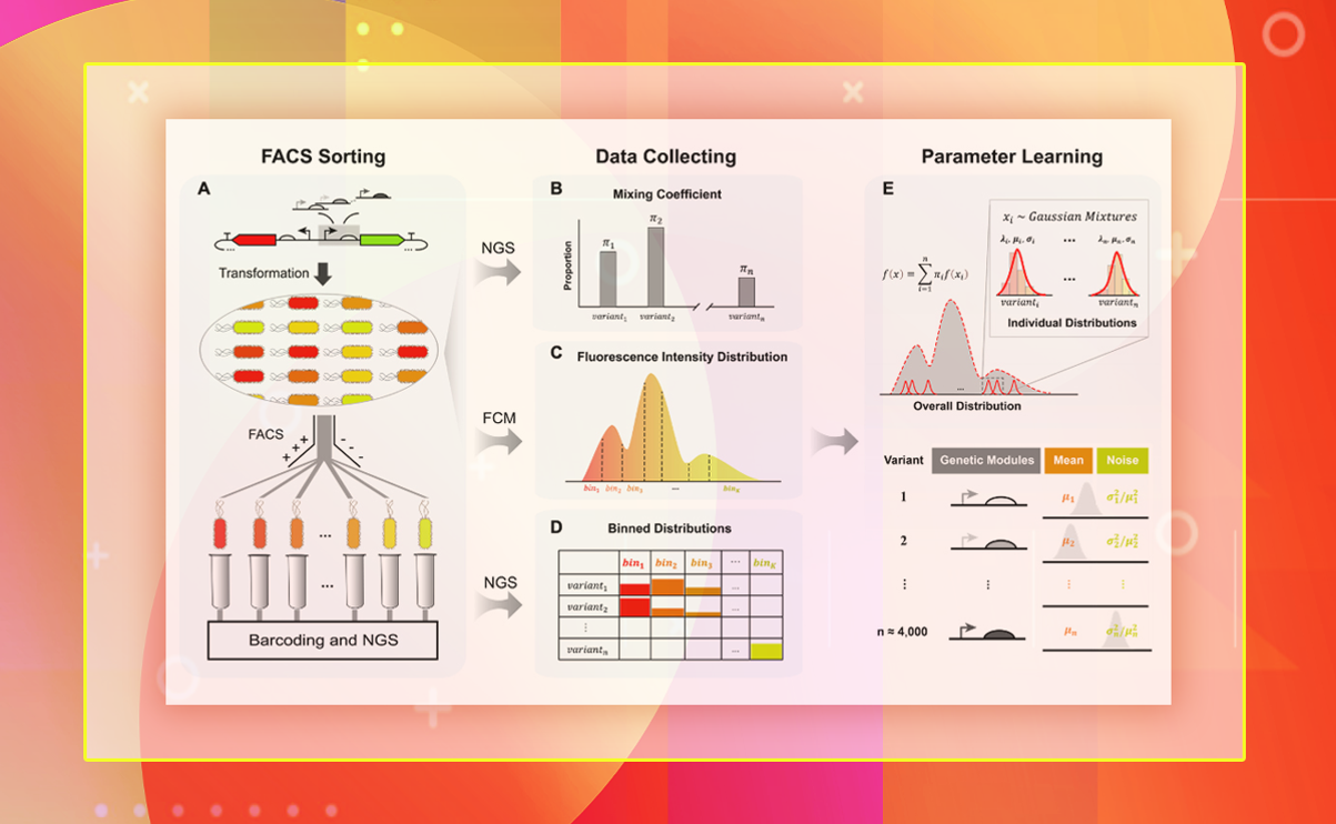 2025新澳门开门原料免费