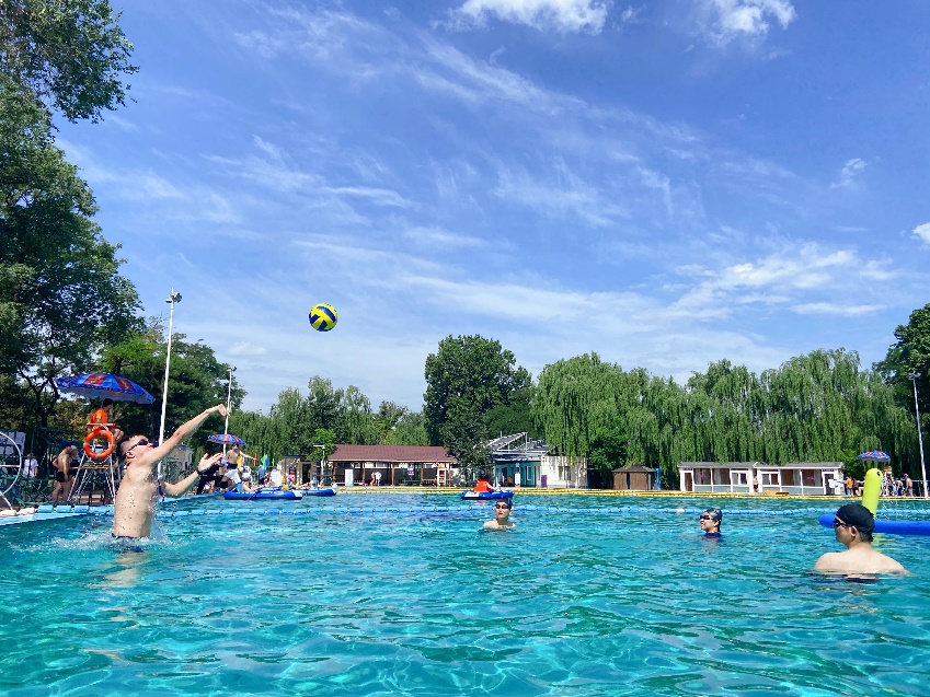 2025新澳门开门原料免费