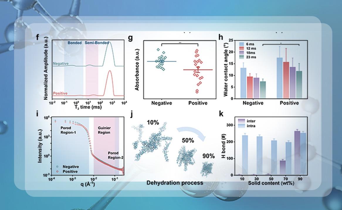 2025新澳门开门原料免费