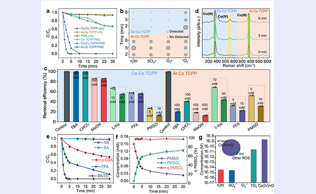 2025新澳门开门原料免费