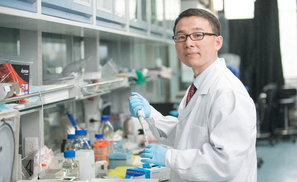 2025新澳门开门原料免费