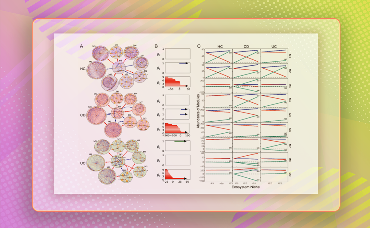 2025新澳门开门原料免费